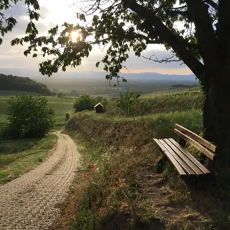 Irene * ווגטסבורג