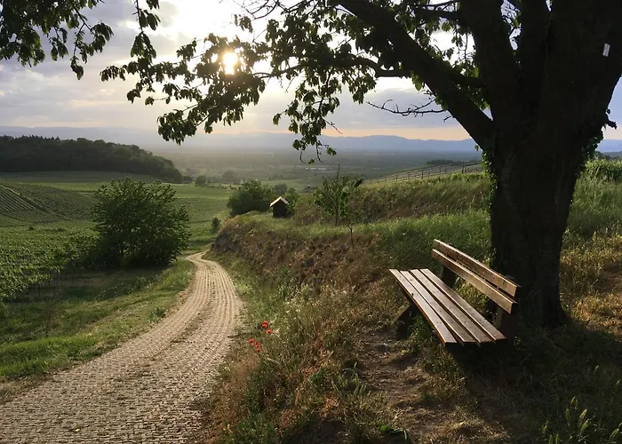 Irene * Vogtsburg im Kaiserstuhl