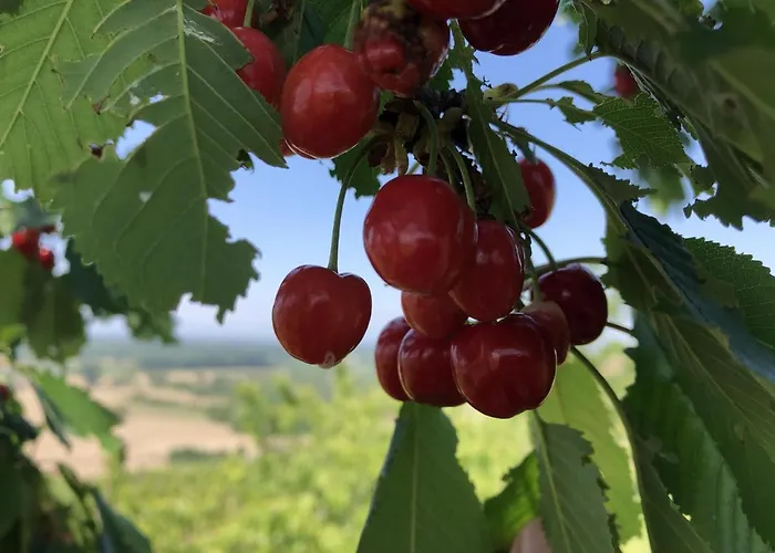 Irene * Vogtsburg im Kaiserstuhl