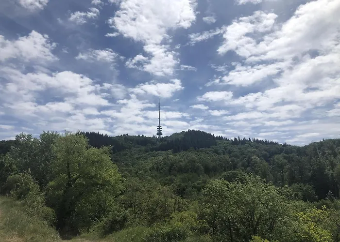 Irene Appartement Vogtsburg im Kaiserstuhl